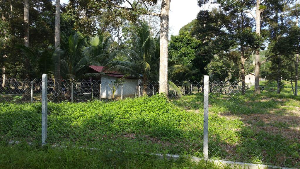 Kampong Semawar Farm stay Kuala Kangsar