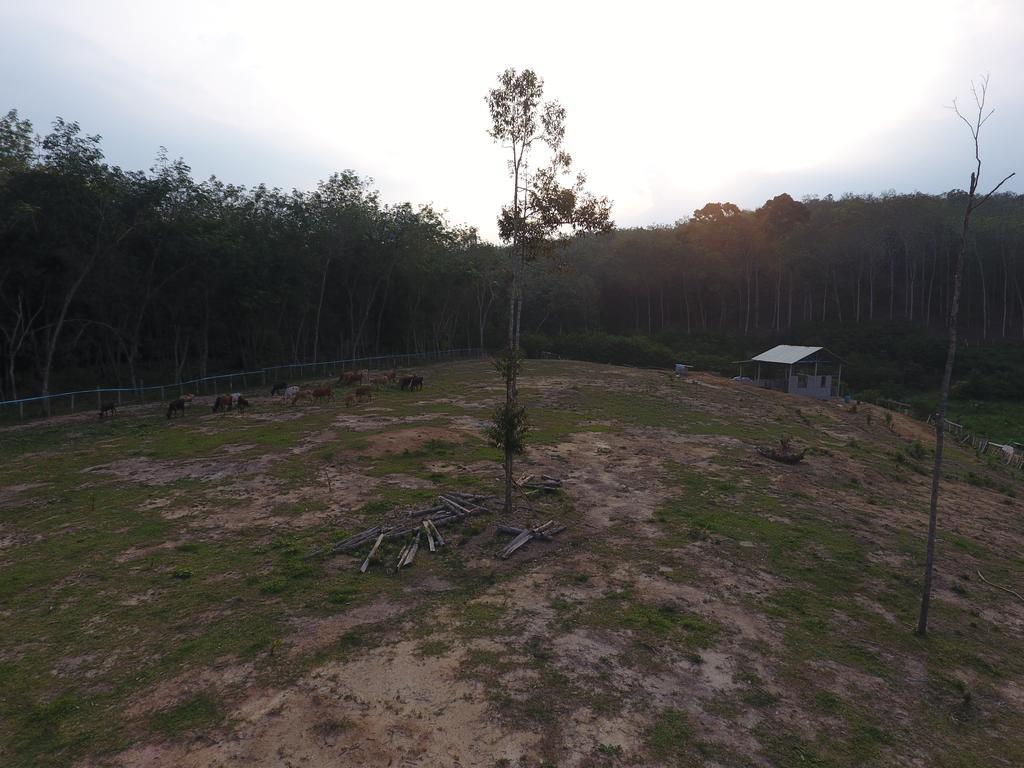 Farm stay Kampong Semawar *